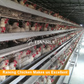 Fuente directa de la fábrica de Tianrui Un tipo de jaula automática completa de la capa de pollo